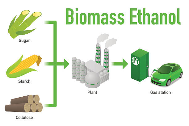 Ethanol Fuel In INDIA
